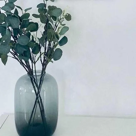 Vii Morales & Arnal * ロンダ