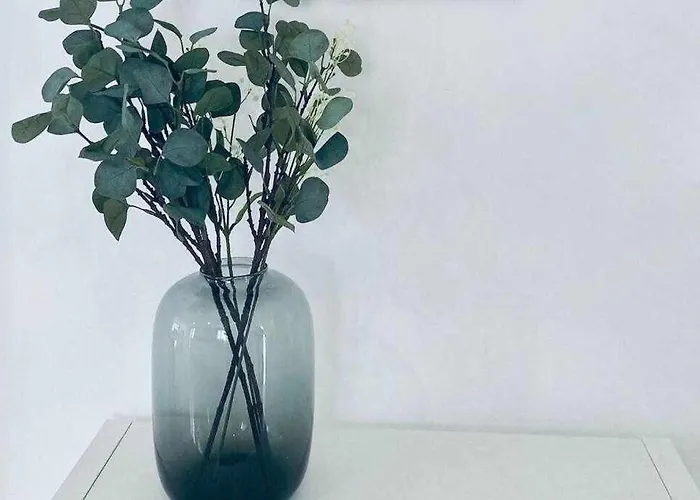 Vii Morales & Arnal * Ronda